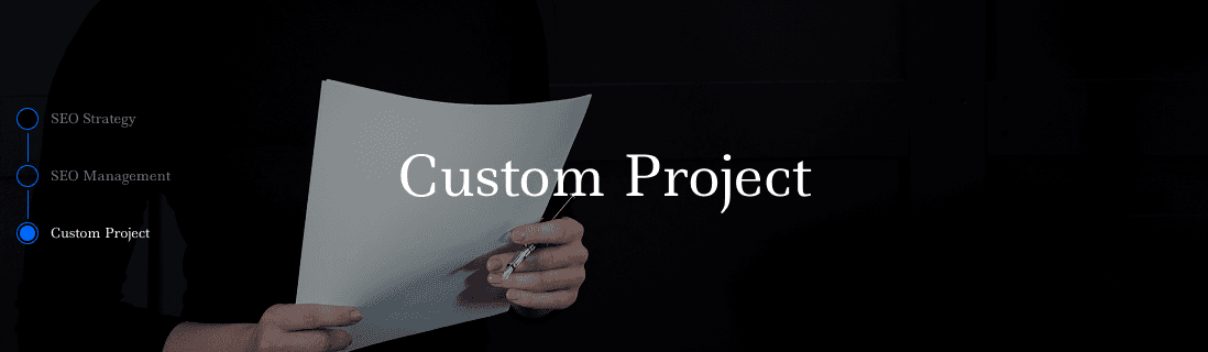 Custom Project Services