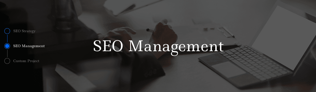SEO Consulting & Monthly Managed Operations