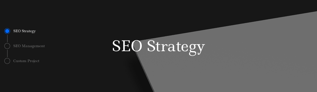 SEO Consulting
